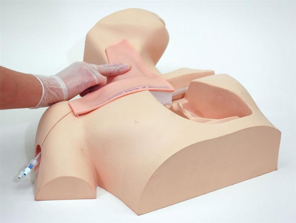 CVC Insertion Simulator II - Medical Training Device for Central Venous Catheter Practice - Perfect for Nursing Students & Healthcare Professionals