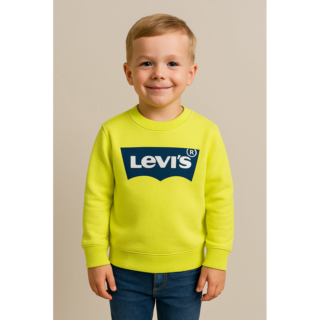 Levi's Youth Batwing Logo Pullover Hoodie - Soft Cotton Sweatshirt for Boys & Girls - Casual Wear for School, Sports & Everyday Comfort