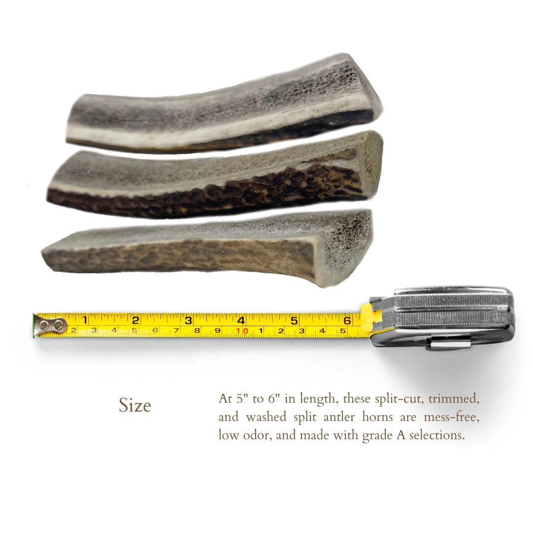 Premium Split Elk Antlers for Dogs - All Natural Dog Chew Bones (3 Pack Small to Medium) - Naturally Shed & Cruelty-Free - WhiteTail Naturals - Perfect for Teething, Dental Health & Long-Lasting Chewing