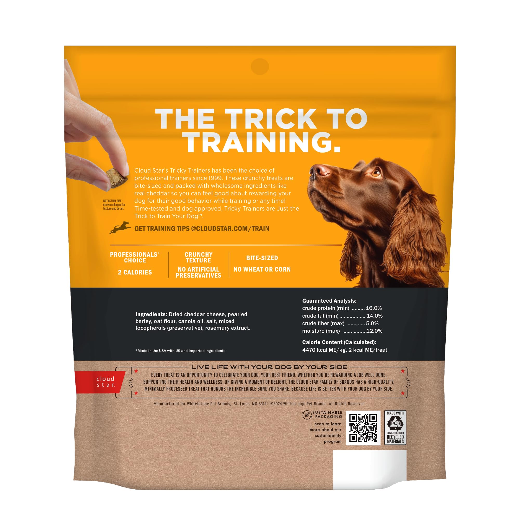 Cloud Star Tricky Trainers Crunchy Dog Training Treats - 12 oz Pouch, Cheddar Flavor, Low-Calorie Behavior Reward with 680 Treats | Perfect for Obedience Training, Positive Reinforcement & Puppy Snacks