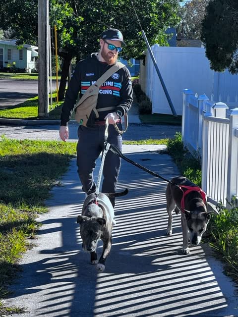 Durable Double Dog Leash with Bungee & Reflective Attachment - Tangle-Free Hands-Free Shock Resistant Leash Extension for Walking, Running & Hiking with Two Dogs
