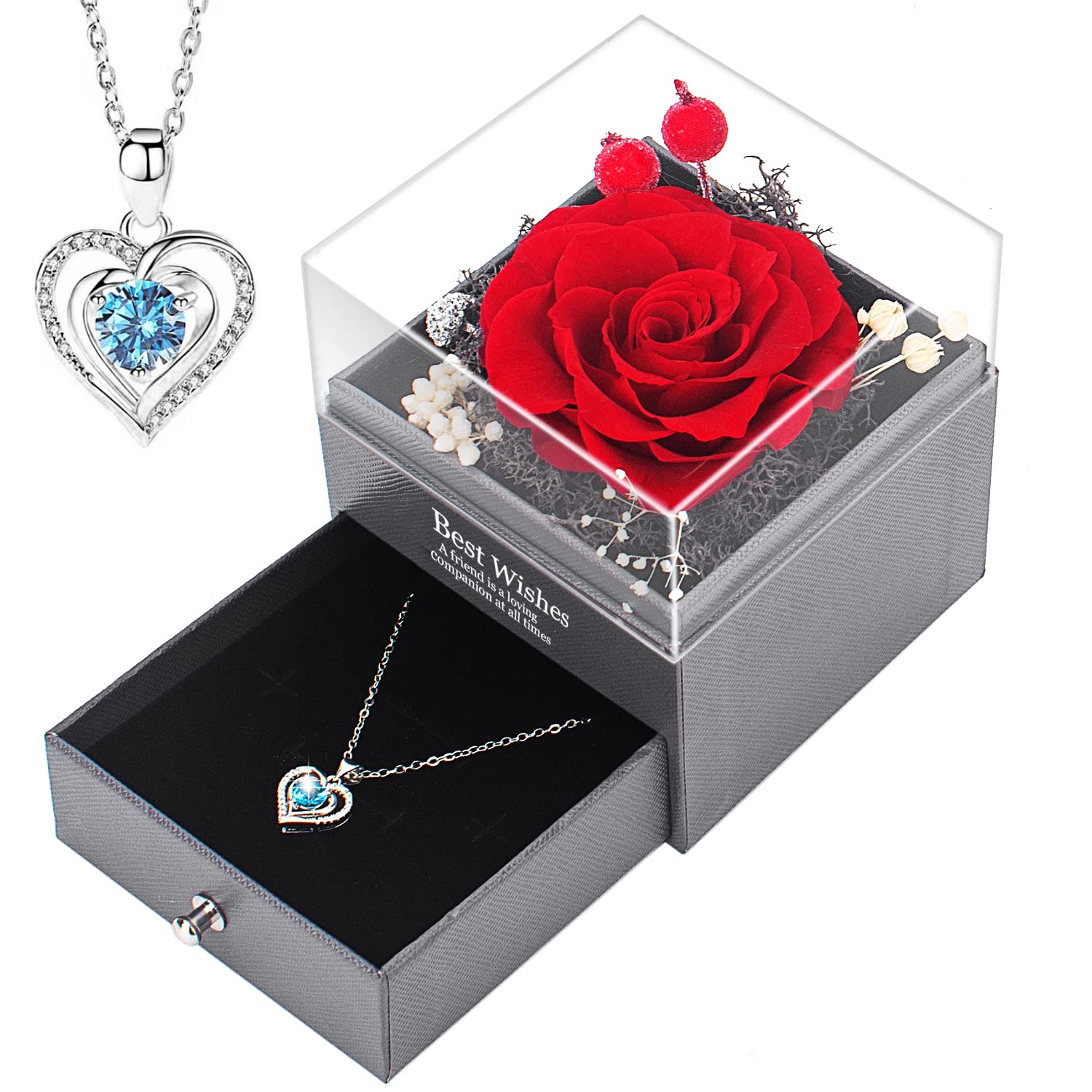 Real Preserved Rose with Necklace - Eternal Rose Jewelry Gift for Women, Mom, Wife, Girlfriend | Valentine's Day, Mother's Day, Anniversary, Christmas & Birthday Present | Romantic Home Decor & Special Occasion Gift (Red)