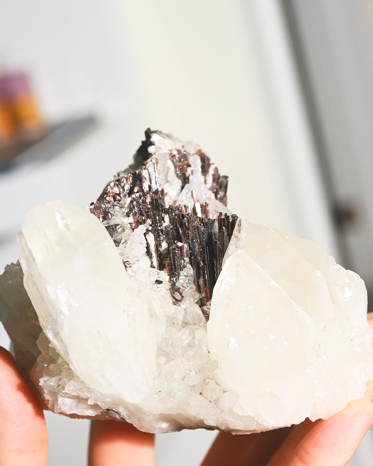 Natural Hubnerite with Quartz Crystal Specimen - 3 Inch Mineral Collection for Healing, Meditation & Home Decor