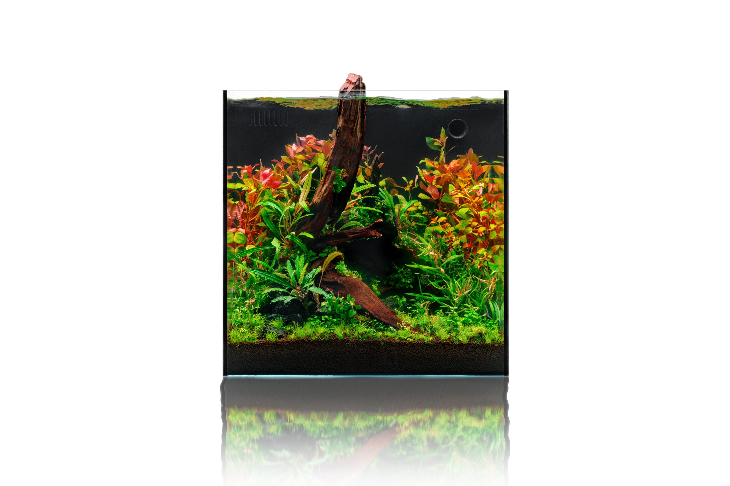 Premium UNS Dual All-in-One Glass Aquarium Tank - 5 Gallon Nano Fish Tank with Built-in Filtration System - Perfect for Home, Office, or Classroom Aquascaping and Small Fish Keeping