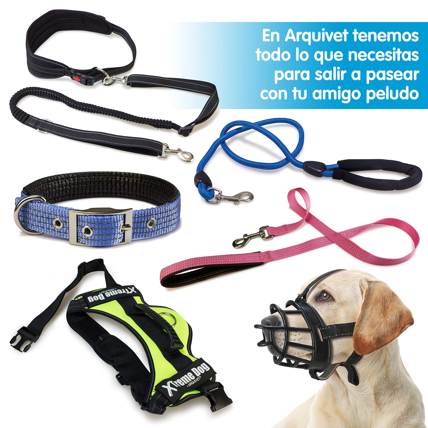 Xtreme Dog Harness for Small Dogs - Adjustable No-Pull Pet Vest (44-57 cm/XS) - Comfortable & Durable Blue Reflective Harness for Training, Walking & Outdoor Adventures