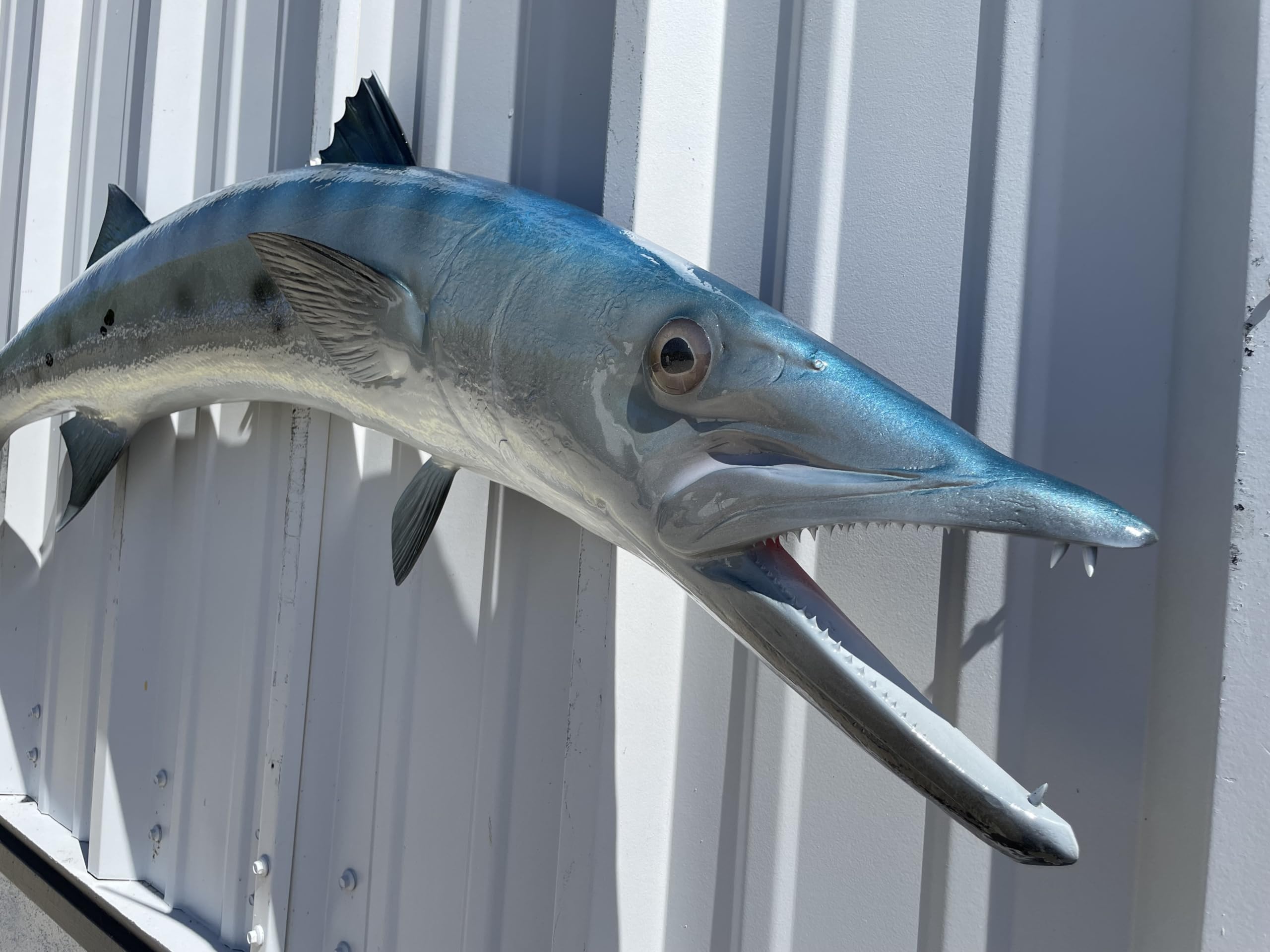 Barracuda Fish Wall Mount Replica - Lifelike Fishing Trophy & Coastal Home Decor for Living Room, Office, or Beach House