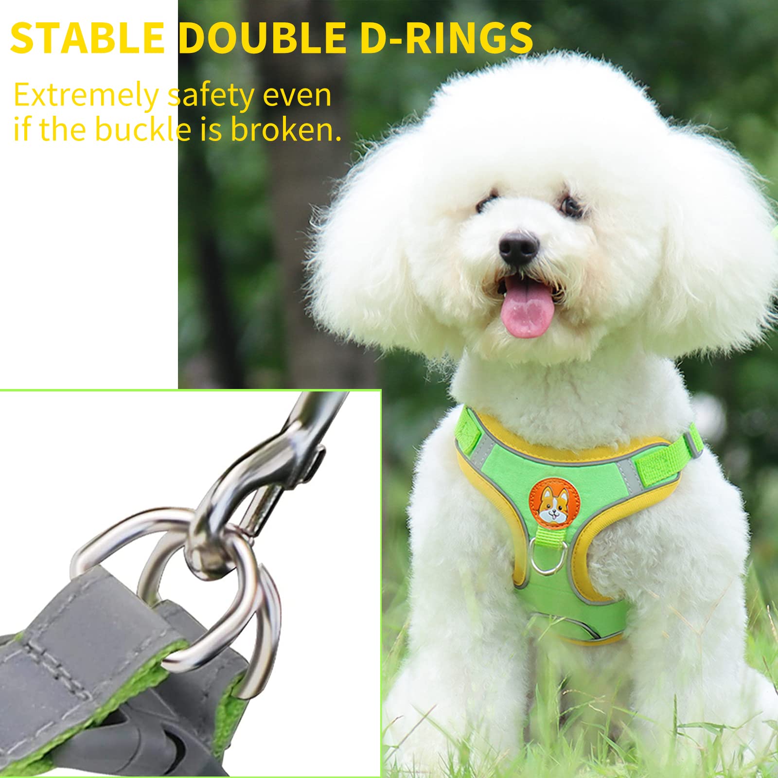 Adjustable No-Pull Dog Harness for Small & Medium Dogs - Reflective Comfort Vest with 2 Leash Clips & Matching Leash Set | Perfect for Walking, Training & Outdoor Adventures