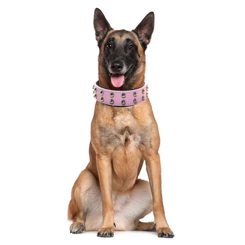 Stylish Studded Dog Collar with 2 Rows Rivets - Spiked PU Leather Pet Collar for Medium & Large Dogs (17-20 inch, Hot Pink) - Perfect for Walking, Training & Fashion Accessories