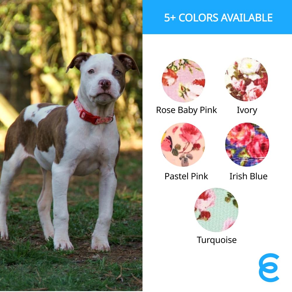 Blueberry Pet Personalized Martingale Safety Training Dog Collar - Adjustable Custom ID Collar for Medium Dogs with Embroidered Pet Name & Phone Number | Turquoise Color | Perfect for Walks, Training & Outdoor Adventures