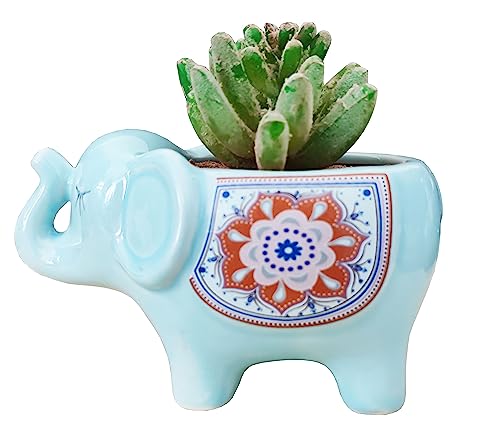 Light Blue Elephant