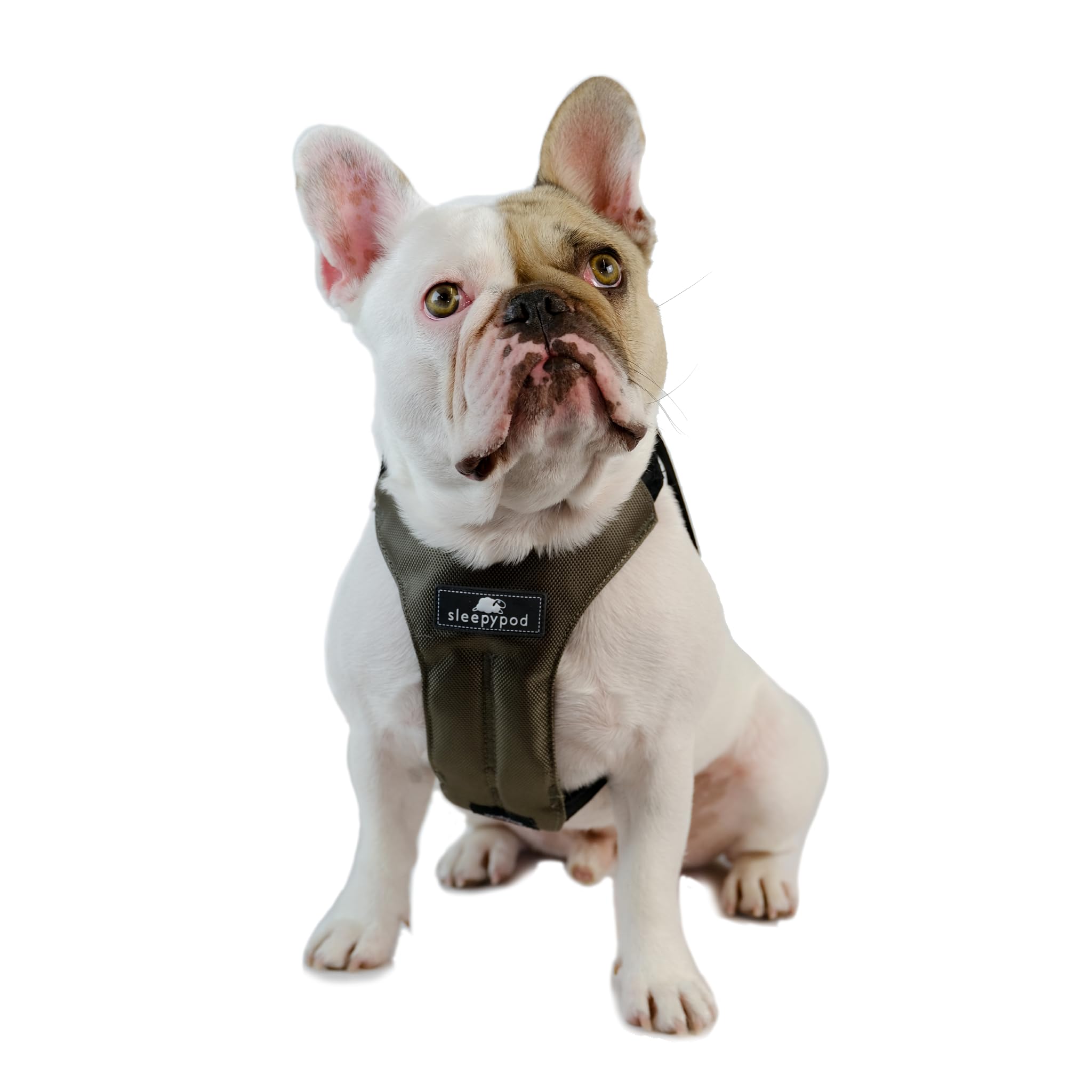 Clickit Sport Plus - Crash-Tested & Safety Certified Dog Car Seat Belt Harness for Large Dogs (Olive Green) - Secure Pet Travel for Road Trips & Daily Commutes