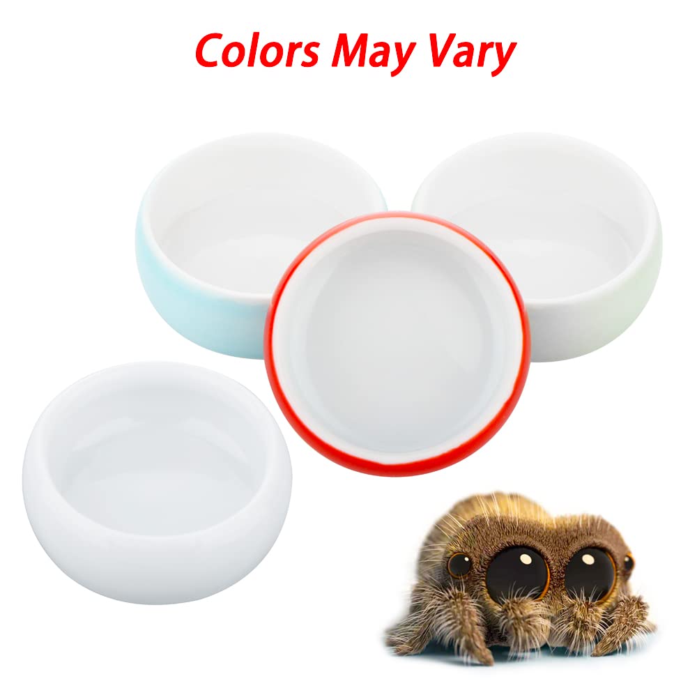 4 Pcs Colorful Ceramic Food & Water Bowls for Hermit Crabs, Tarantulas, and Spiders - Small Pet Feeding Dishes for Reptile & Insect Habitat Use