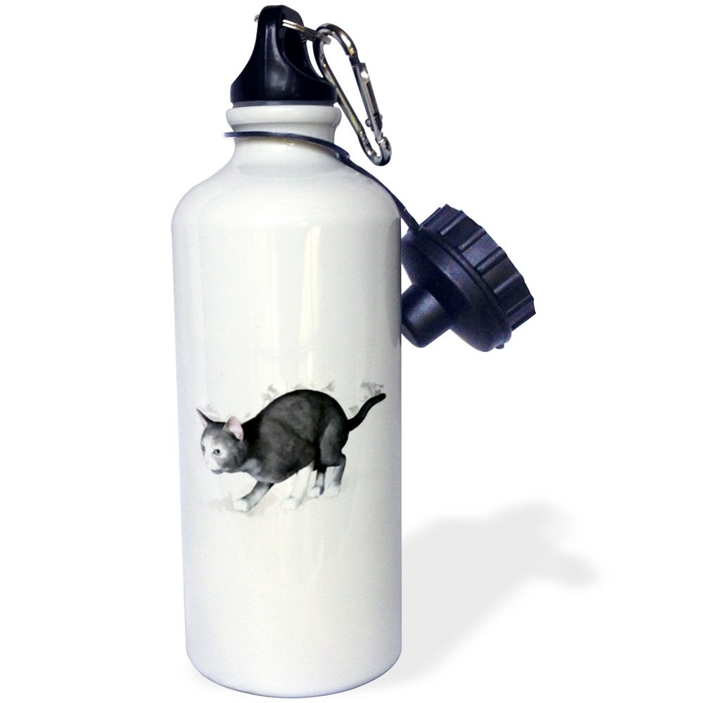 3D Rose Grey White Cat Sports Water Bottle - 21 oz Insulated Stainless Steel Water Bottle for Gym, Hiking & Outdoor Activities - BPA Free, Leak Proof, White