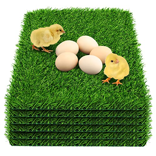 6pack-Green