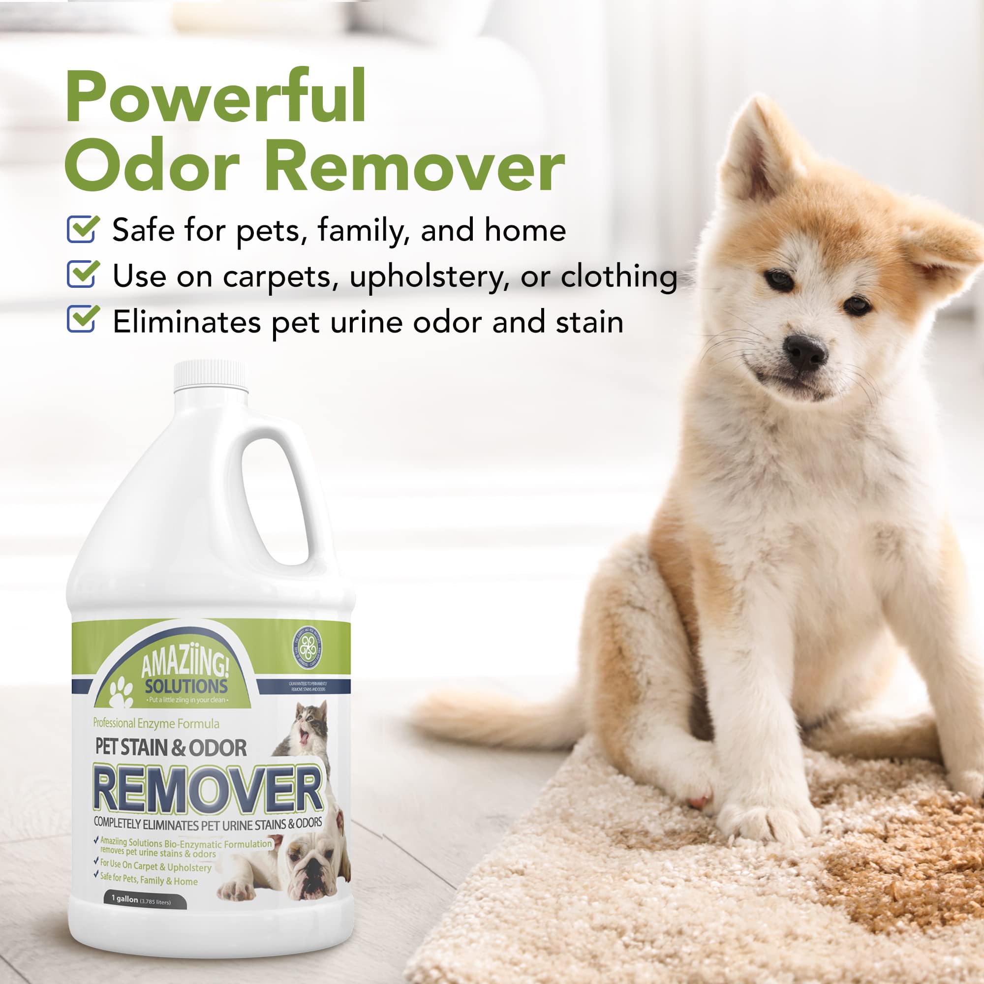 **Enzyme Pet Stain & Odor Remover - 1 Gallon Refill for Urine, Carpet & Fabric - Eliminates Pet Odors & Stains - Fresh Scent for Home, Floors & Furniture - Ideal for Dogs, Cats & Multi-Pet Households**