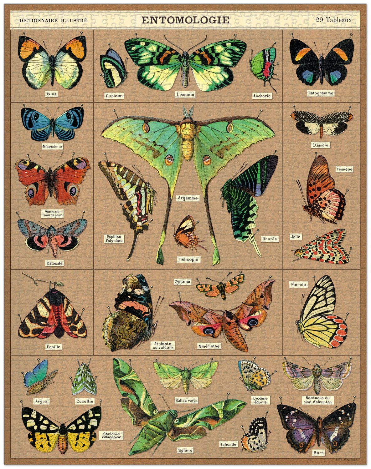 1,000 Piece Entomology Puzzle - Insect & Bug Theme Jigsaw for Adults & Kids - Perfect for Family Game Nights & Educational Fun