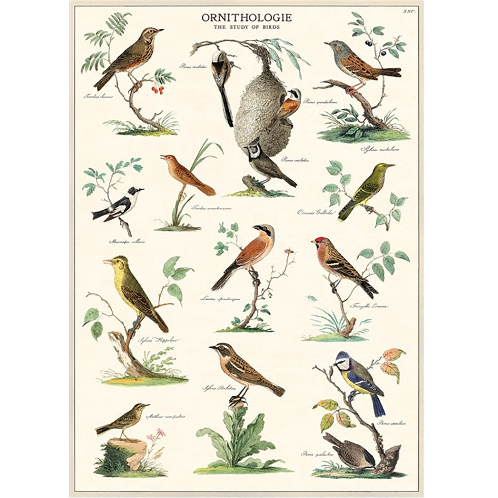 Premium Birdwatching Wrap - Soft & Warm Blanket for Bird Lovers - Perfect for Outdoor Birding, Camping & Cozy Home Use