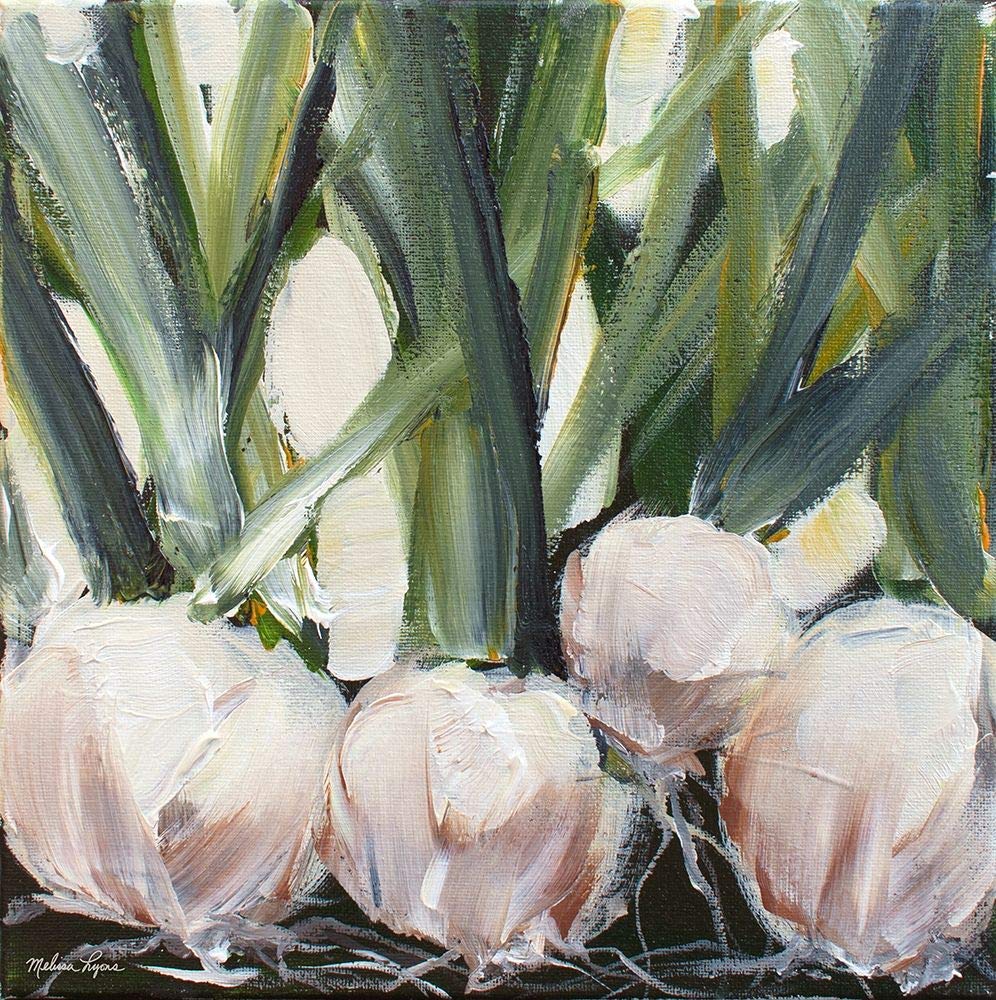 Onions Art Print by Melissa Lyons - 16x16 Inch Wall Decor Poster - Perfect for Kitchen, Dining Room & Farmhouse Decor