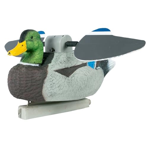 Drake Mallard
