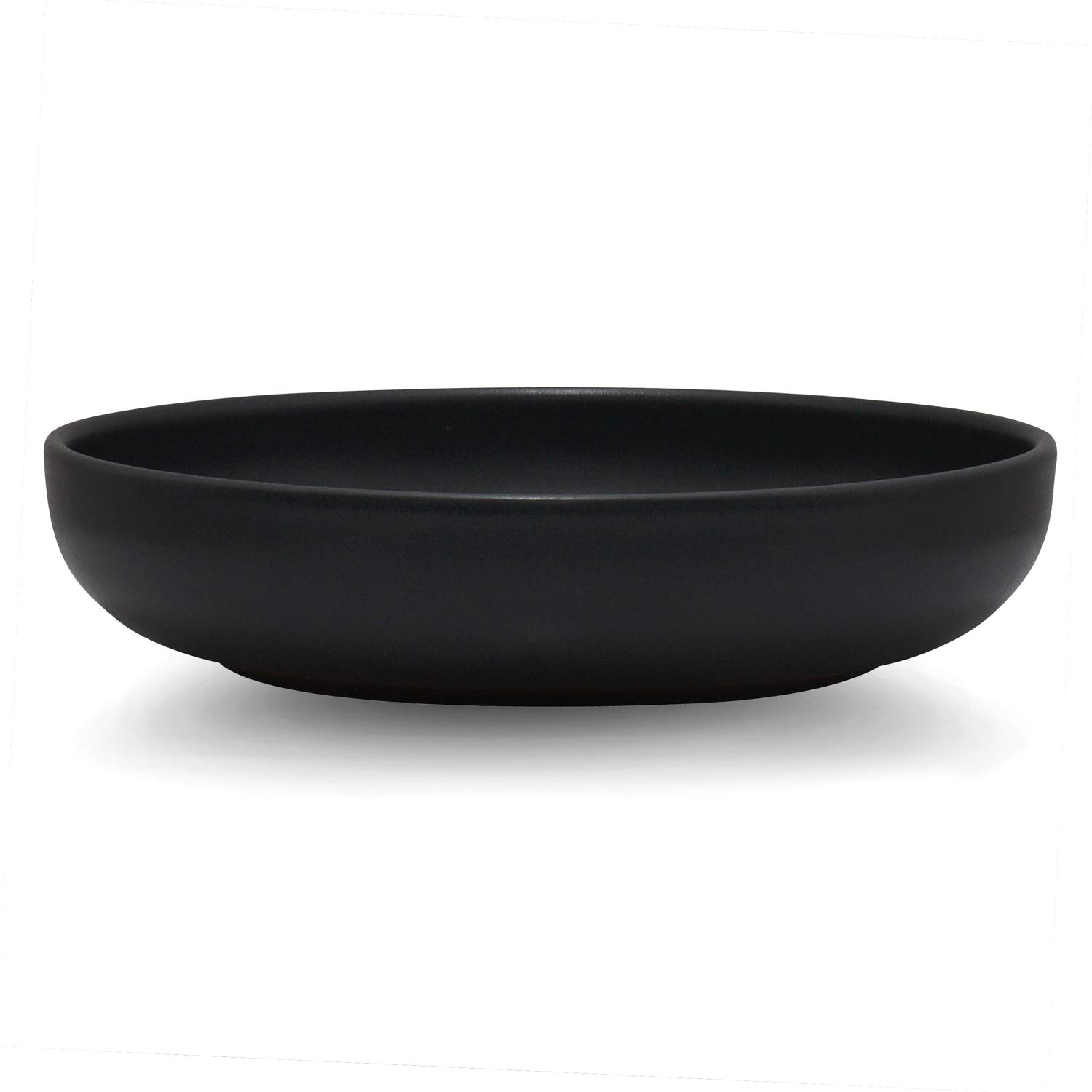 Premium Matte Black Stoneware Dinner Plates Set of 4 - 8.6