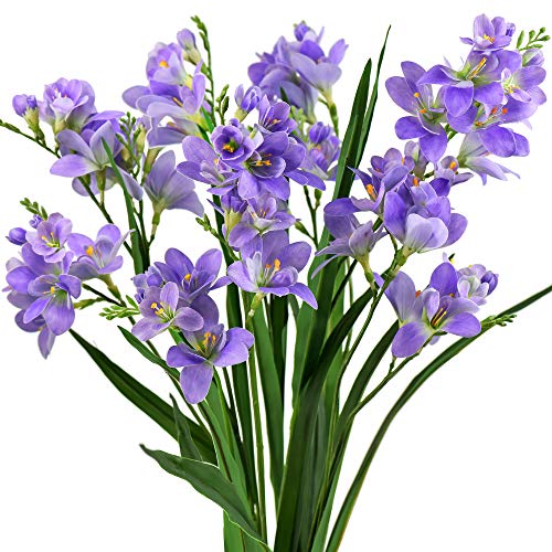 Dreamy Purple