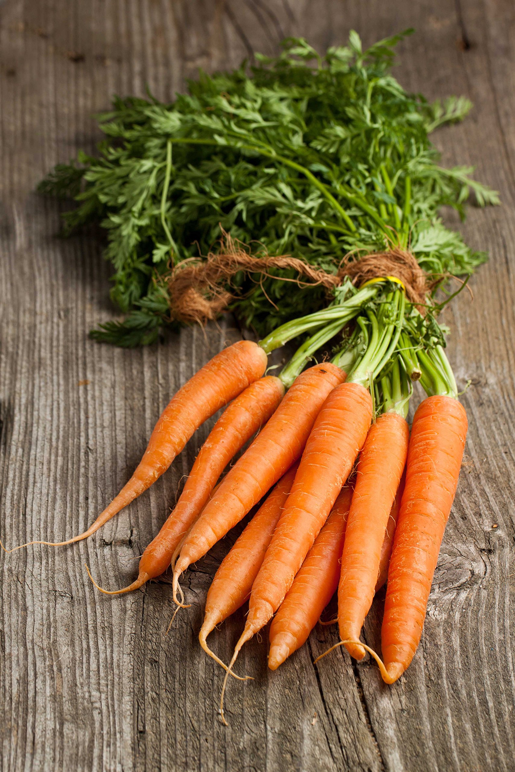 Scarlet Nantes Heirloom Carrot Seeds (Daucus Carota Var. Sativus) - Non-GMO, Organic Vegetable Seeds for Home Gardening - Perfect for Raised Beds, Containers & Fresh Salads