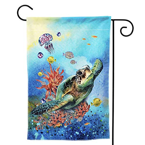 sea turtle