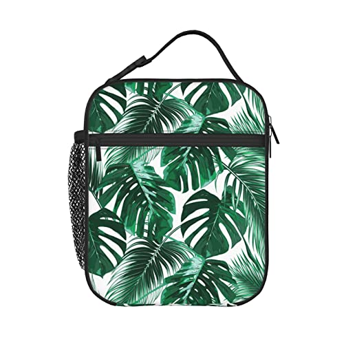 Tropical Palm Leaves