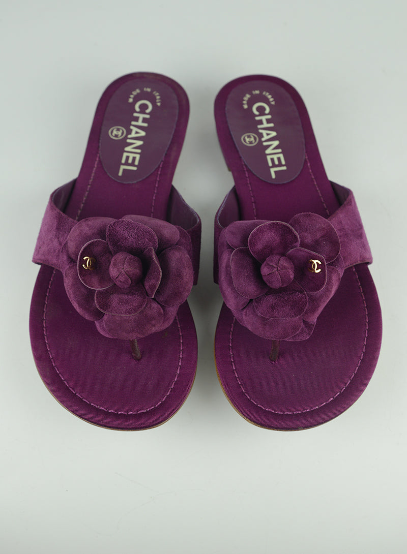 Chanel Camelia Flat Sandals Size 36 - Women's Luxury Designer Shoes for Casual Wear & Summer Outfits