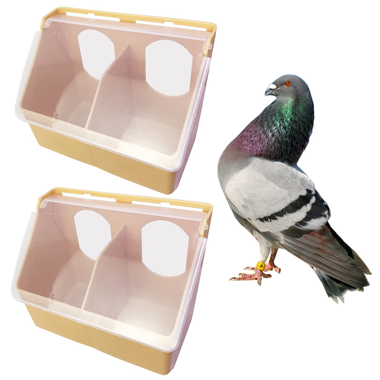 2 Pack Pigeon & Quail Feeder with Water Dispenser - Durable Plastic Bird & Chicken Drinkers with 2 Hole Design - Perfect for Backyard Poultry, Pet Birds & Small Animal Feeding Stations