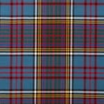 Anderson Modern Tartan Plaid Throw Blanket - Soft Cozy Tartan Pattern Blanket for Couch, Bed, Sofa - Perfect for Winter, Fall & Home Decor