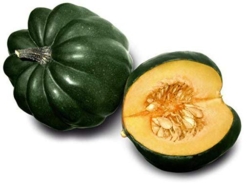 Table King Acorn Winter Squash Seeds - Pack of 200 Heirloom Non-GMO Bush Variety for Home Gardening | Perfect for Fall Harvest, Pumpkin Patches & Organic Vegetable Gardens