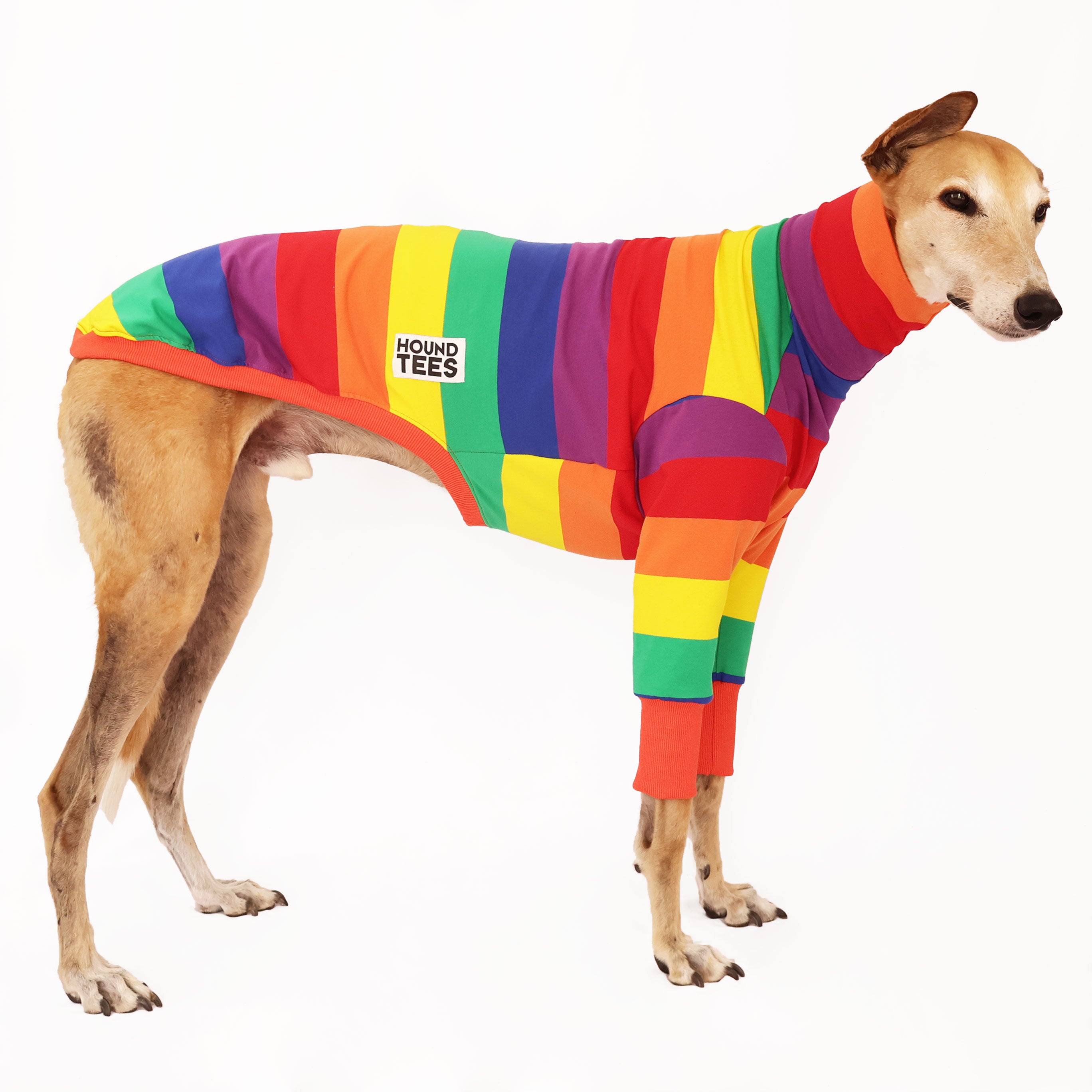 Premium Greyhound Dog Jellybeans Long Sleeve Sweater - Cozy Knit Pullover for Small to Medium Dogs - Perfect for Winter Walks & Indoor Lounging