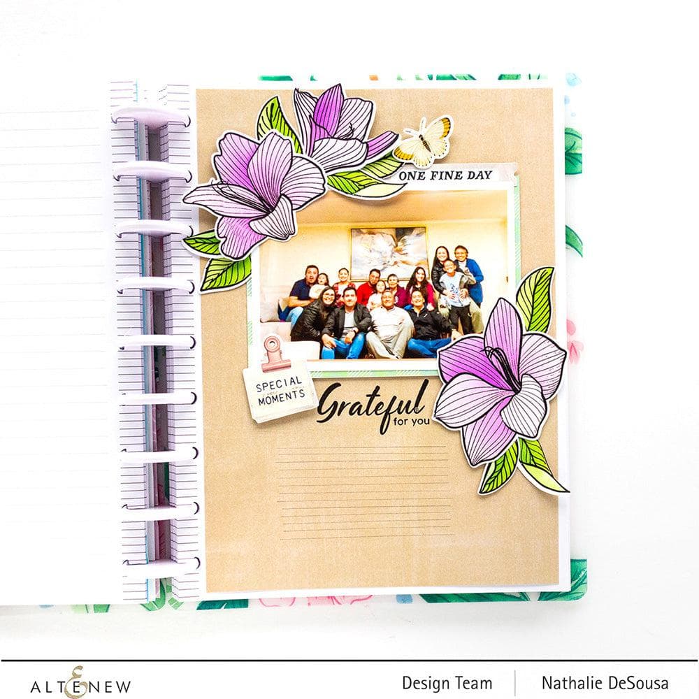 Build a Garden with Esplanade Flowers - Premium Flower Seeds & Plants for Home Gardening, Landscaping, and Outdoor Decor