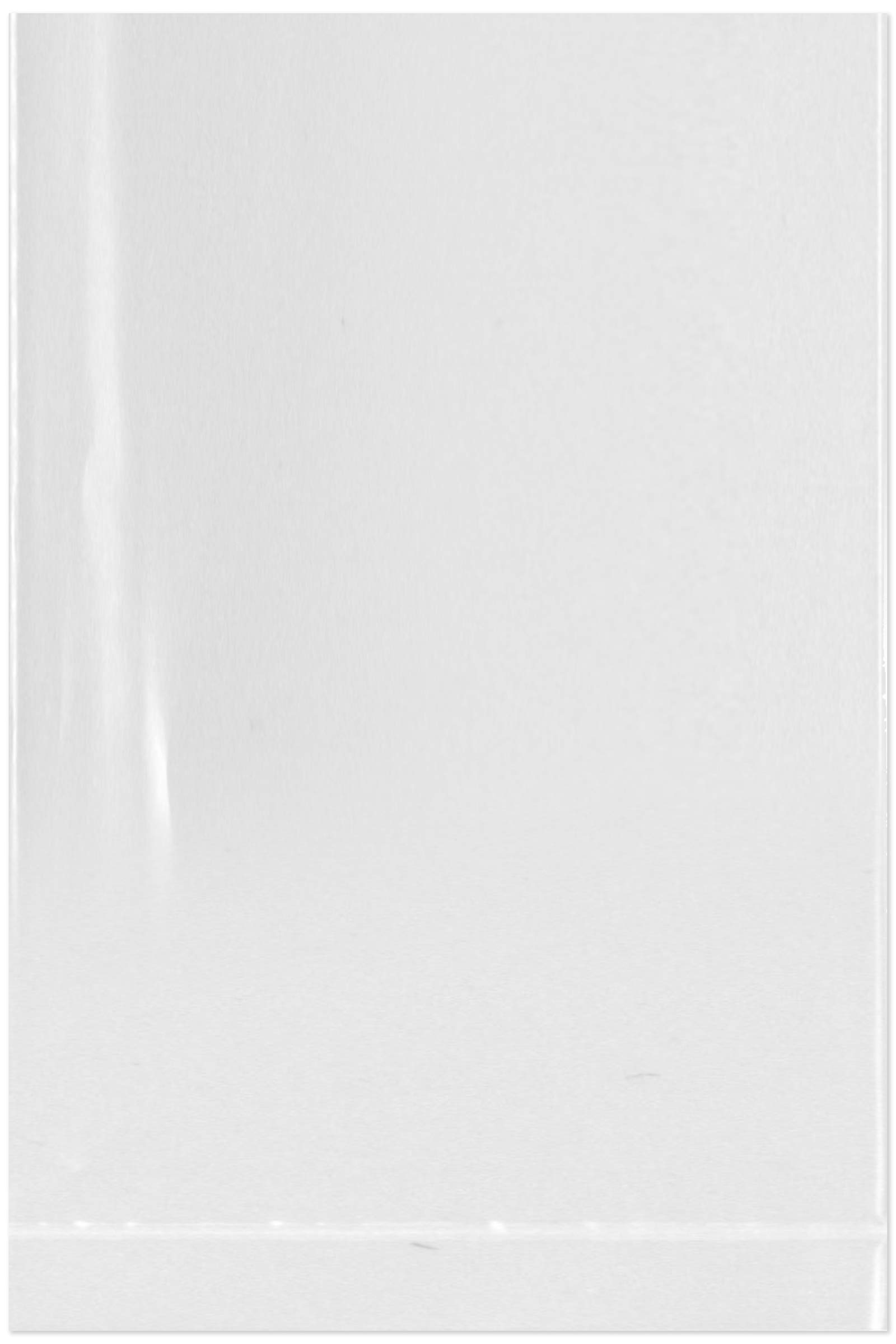 Clear Plastic Poly Bags 2