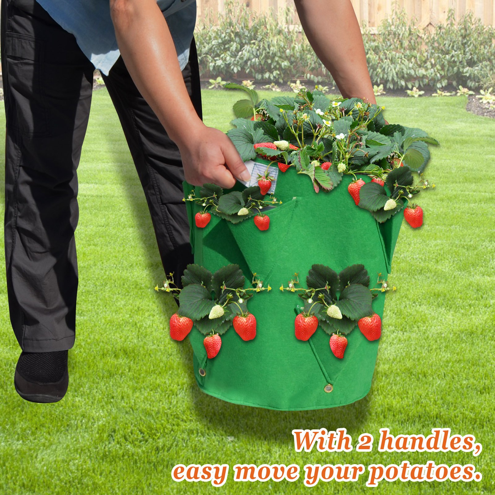 11 Gallon Nonwoven Fabric Grow Bags - Breathable Plant Pots for Strawberries, Tomatoes, Potatoes & Vegetables | Durable Reusable Planting Containers | Indoor/Outdoor Gardening, Raised Bed Alternative (1 Pack)