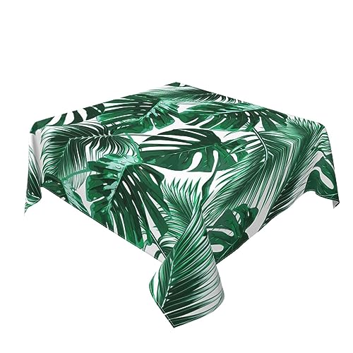 Tropical Palm