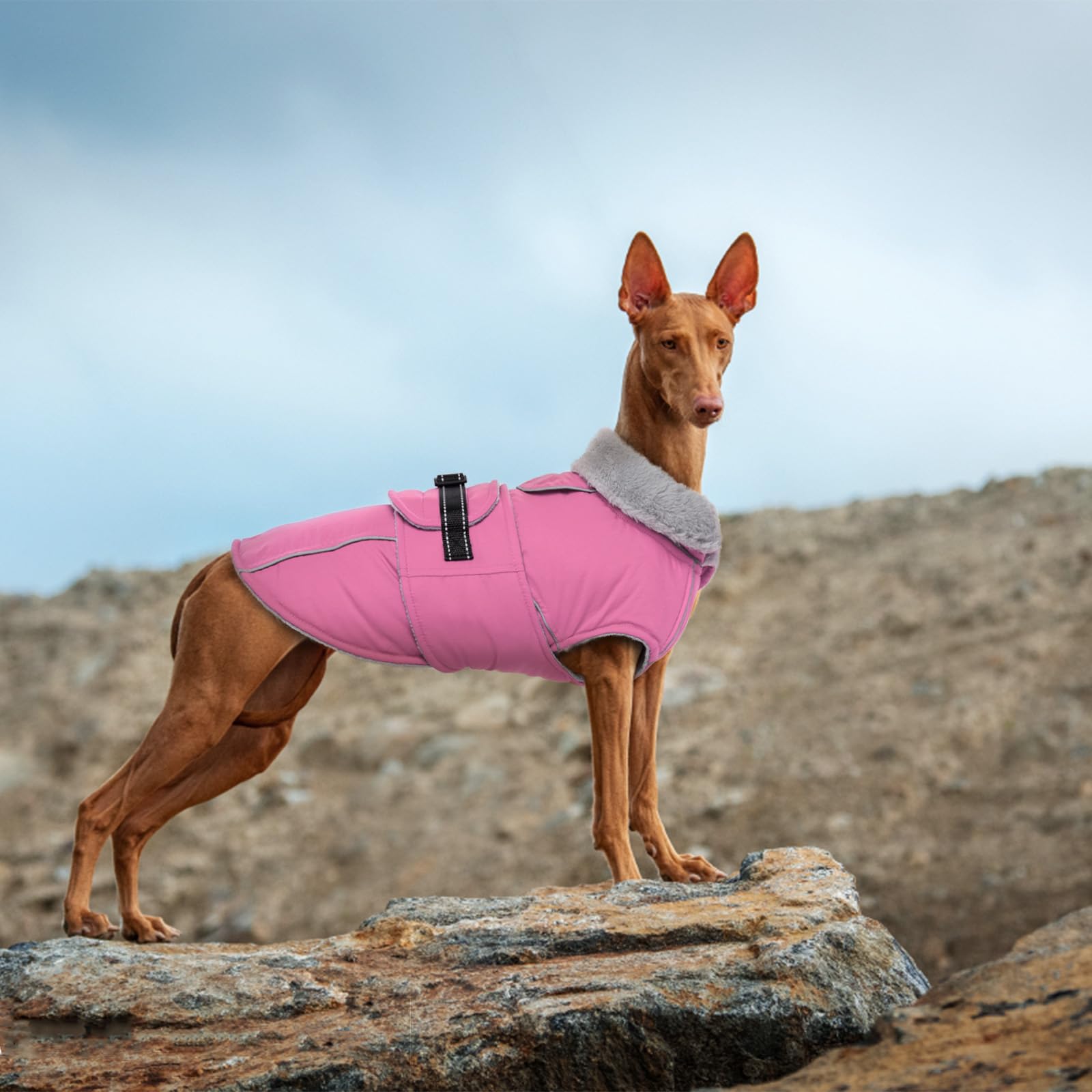 Lelepet Reflective Waterproof Dog Jacket - Windproof Fleece-Lined Winter Coat with Adjustable Buckle for Large Dogs (XL) - Perfect for Snowy Walks & Cold Weather Protection