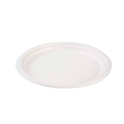 50-Pack Large 9-Inch Premium Biodegradable Bagasse Plates - Super Strong & Rigid, Eco-Friendly Compostable Dinnerware for Parties, Picnics, BBQs, Work Lunches & Everyday Use
