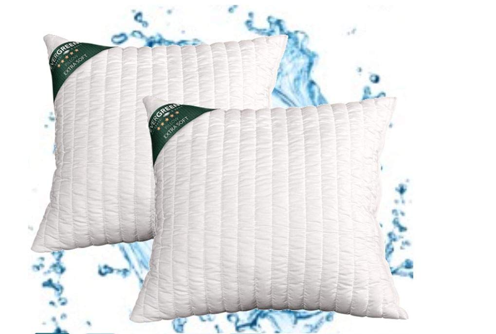 Evergreen Web | 2 Pack 50x50cm Orthopedic Bed & Sofa Pillows - 15cm Height, Washable, Memory Foam with Velvet Flocked Cover, Ultra Soft Feather-Like Comfort for Back Support - Perfect for Living Room, Bedroom & Office Use