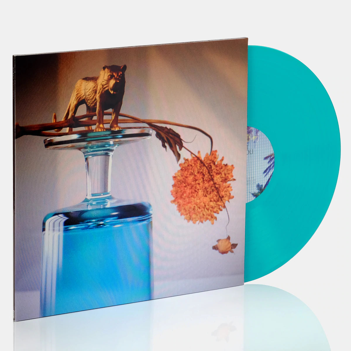 Beirut - Gallipoli (Limited Edition Turquoise Vinyl LP) | Indie Folk & World Music Record for Collectors & Audiophiles - Perfect for Home Listening & Gift Giving