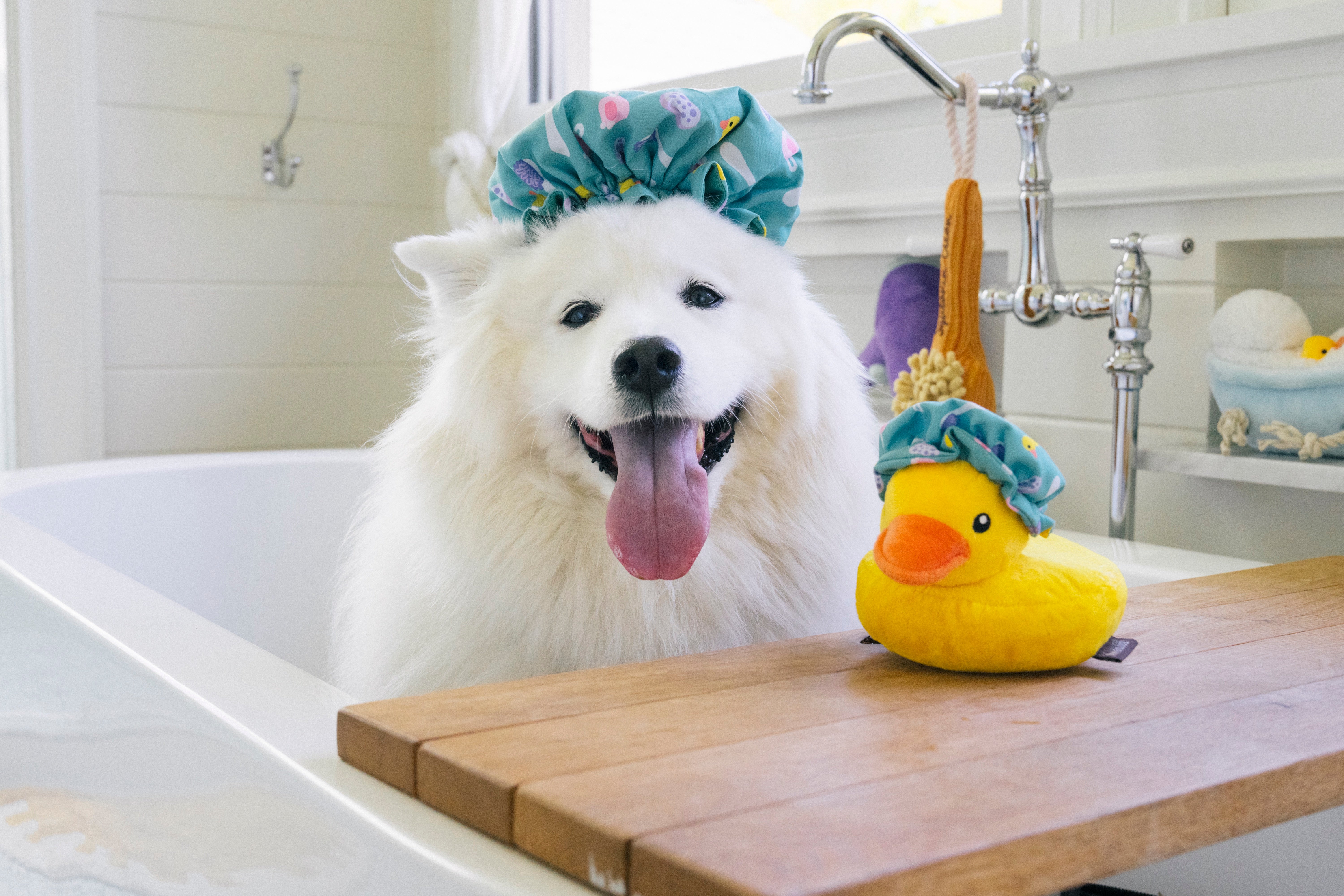 Splish Splash™ Dog Shower Cap Plush Toy for Pets - Soft Bath Time Fun for Small & Large Dogs - Perfect for Grooming, Bathing & Playtime