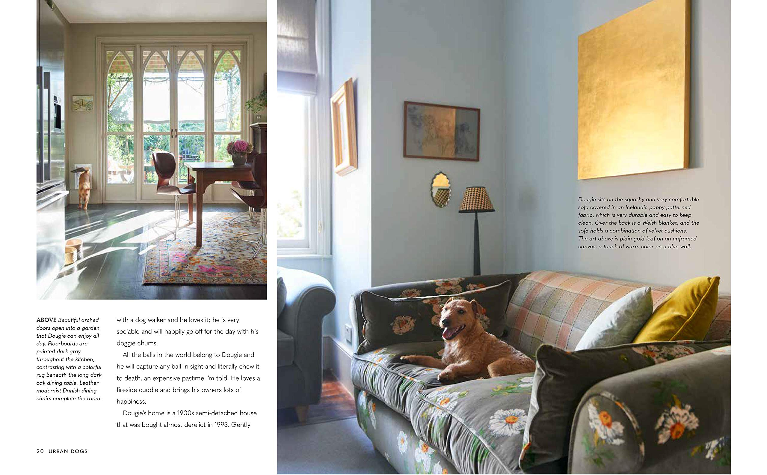 Stylish Dog Accessories for Trendy Homes - Elevate Your Pet's Lifestyle with Modern Dog Decor & Essentials | Perfect for Pet-Friendly Living Spaces