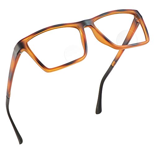 Sg_equation_tortoise