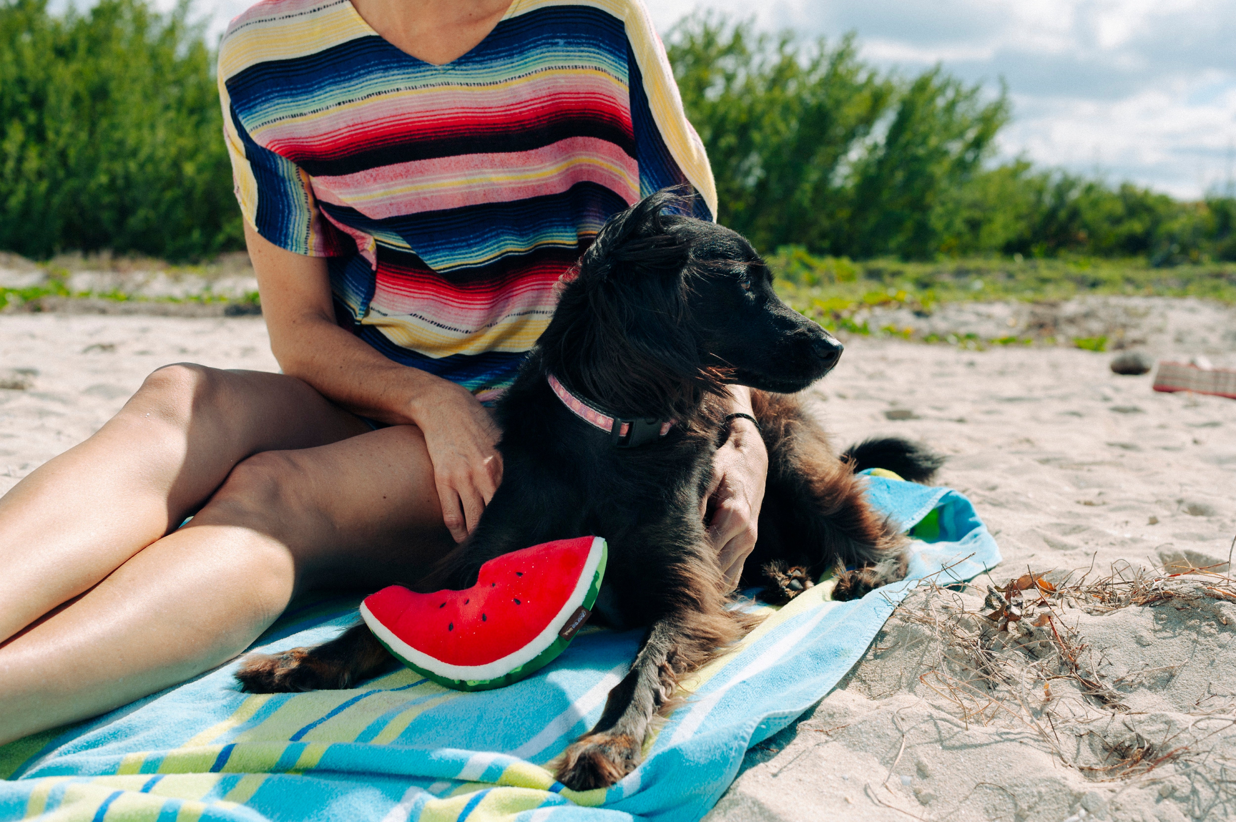 Tropical Paradise™ Watermelon Dog Plush Toy - Durable & Fun Chew Toy for Small & Large Dogs | Perfect for Playtime, Training & Cuddling | Pet P.L.A.Y.
