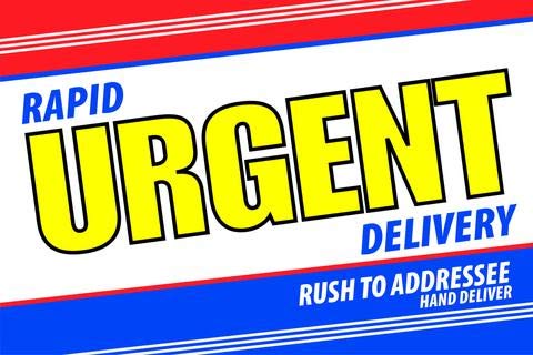 6x9 Express Envelopes Bulk 500/Carton - Premium Direct Mail Envelopes for Urgent Shipping, Real Estate Marketing, PR Campaigns & Product Announcements - Perfect for Business Mailings, Marketing Materials & Fast Document Delivery