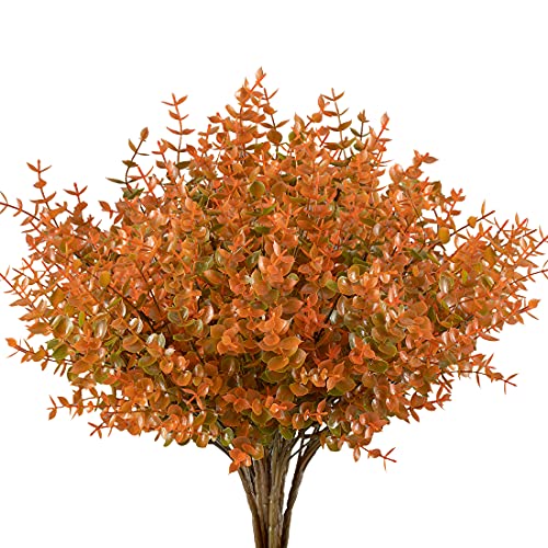 Fall