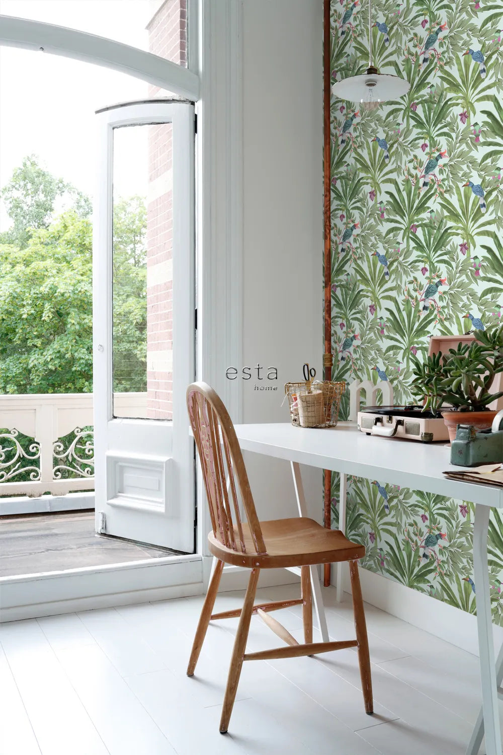 Paradise Jungle Grove - Exotic Tropical Plants for Home & Garden Decor | Perfect for Indoor Greenery, Outdoor Landscaping & Zen Spaces