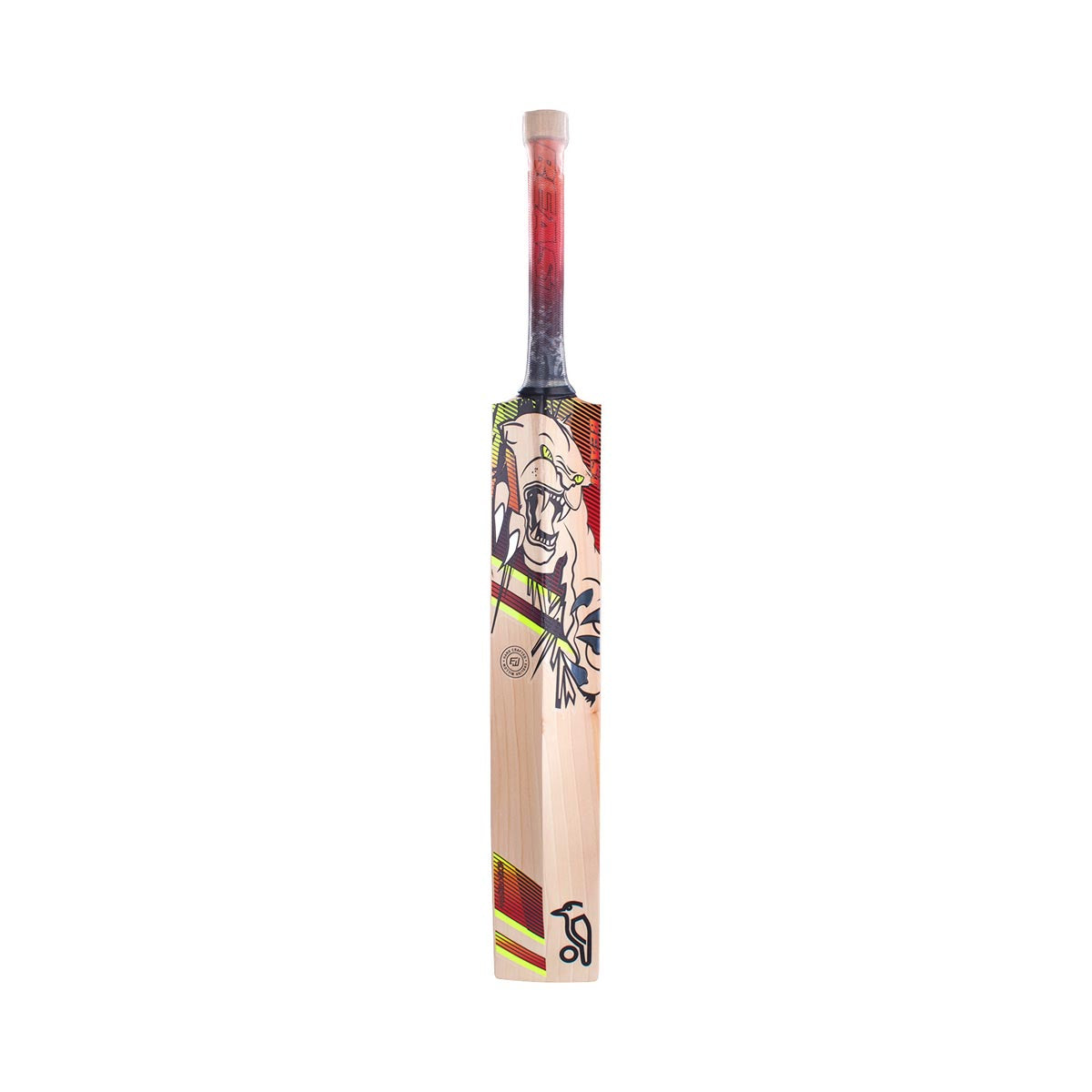 Kookaburra Beast 3.1 Junior Cricket Bat - Lightweight Wooden Cricket Bat for Kids & Youth - Perfect for Practice, Training & Matches