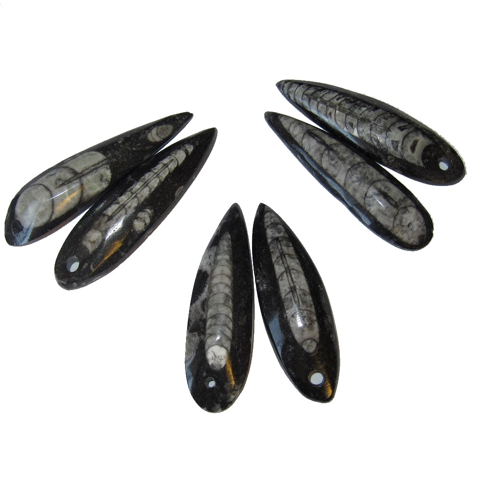 Fossil Mini Wand Pendant Necklace Set - Past Life Journey Crystal Amulet for Meditation & Spiritual Healing | Perfect for Reiki, Chakra Balancing & Energy Work